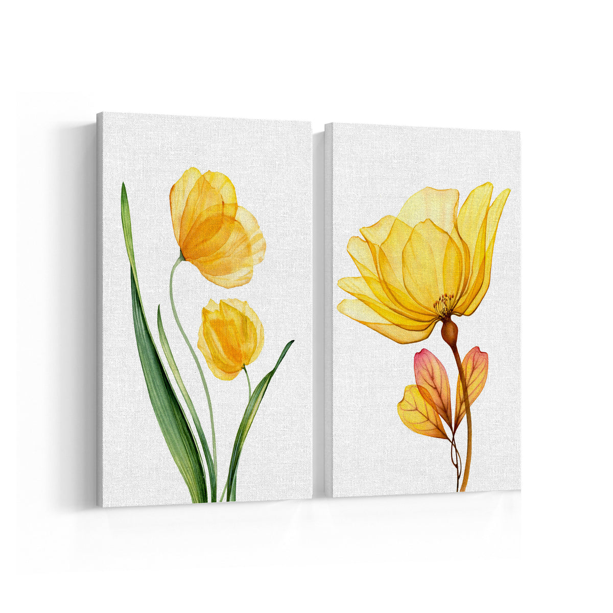 X-Ray Botanical Art, Set of 2, Set of Two Paintings