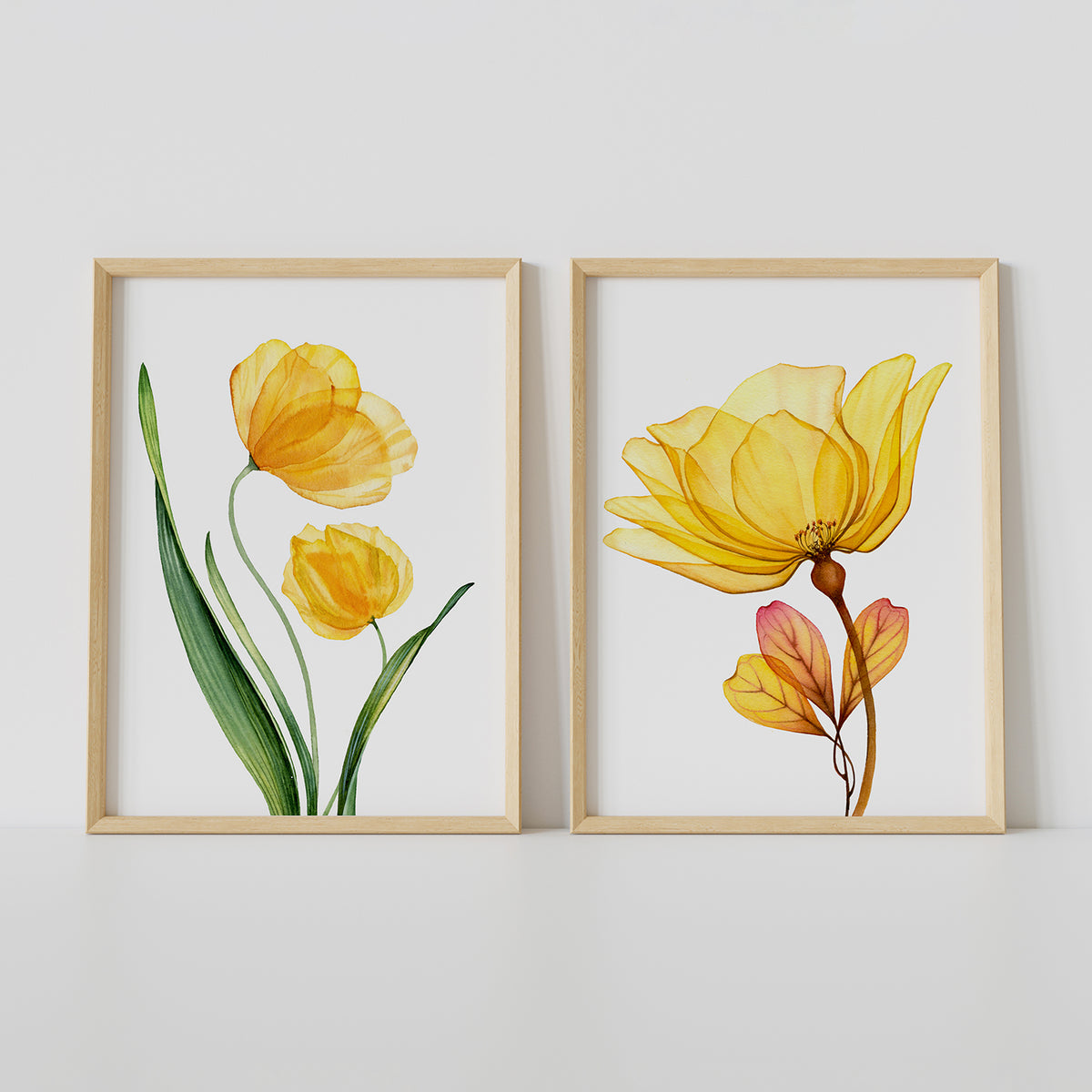 X-Ray Botanical Art, Set of 2, Set of Two Paintings