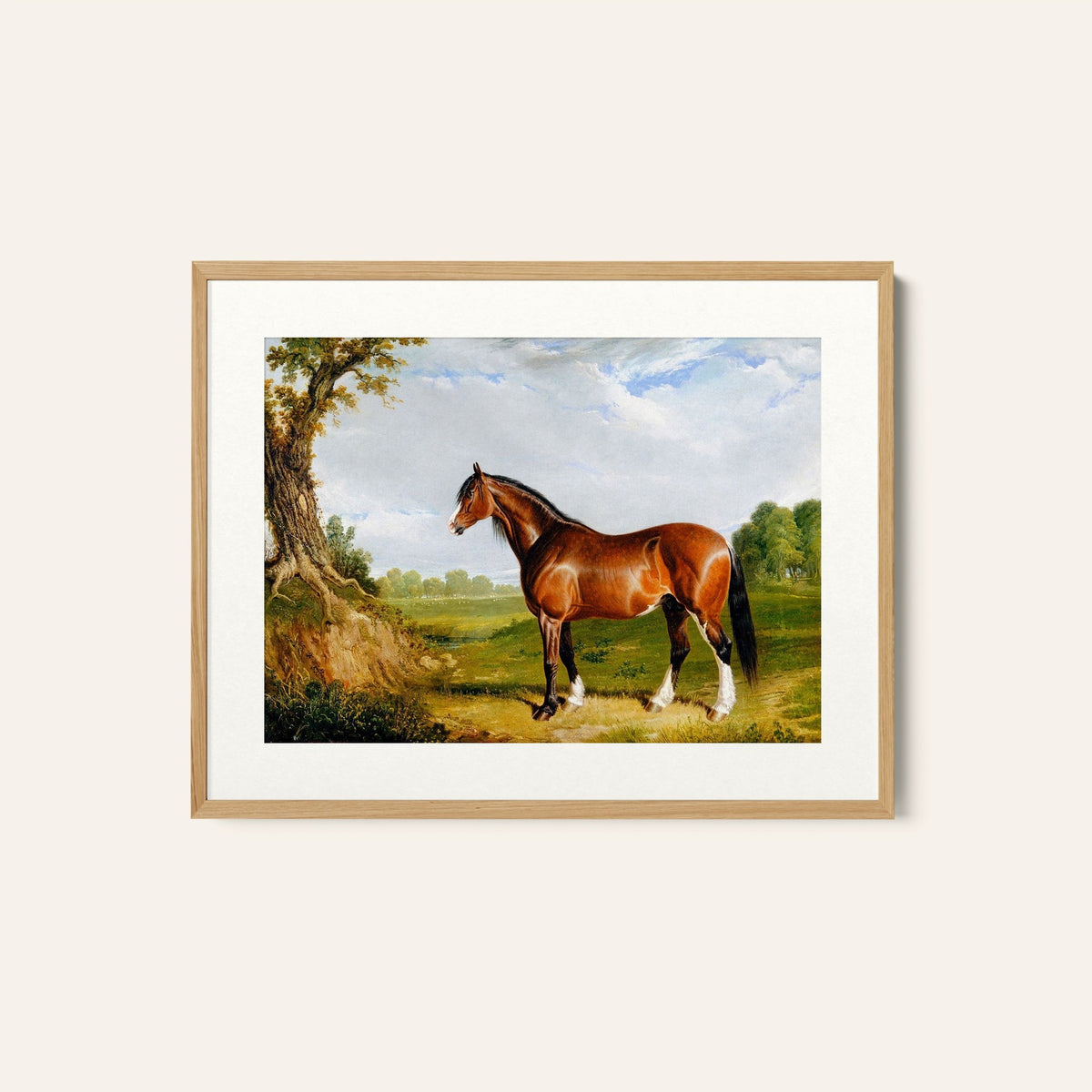 A Clydesdale Stallion by John Herring, Animal Painting