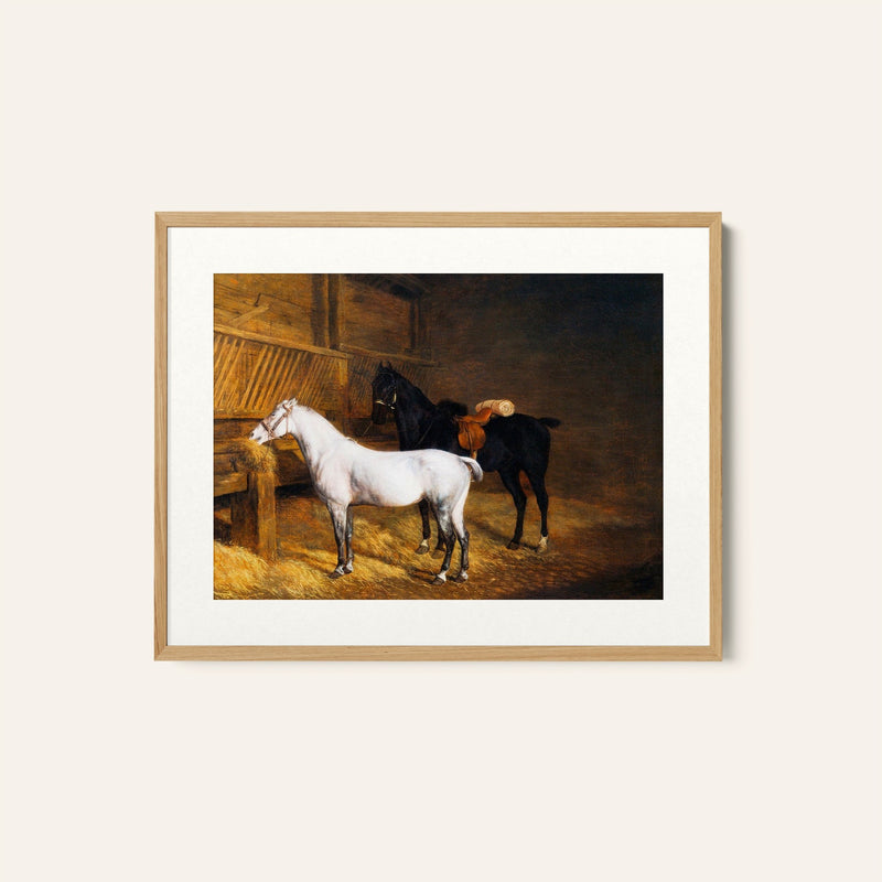 A Grey Pony and a Black Charger by Jacques Agasse, Animal Painting