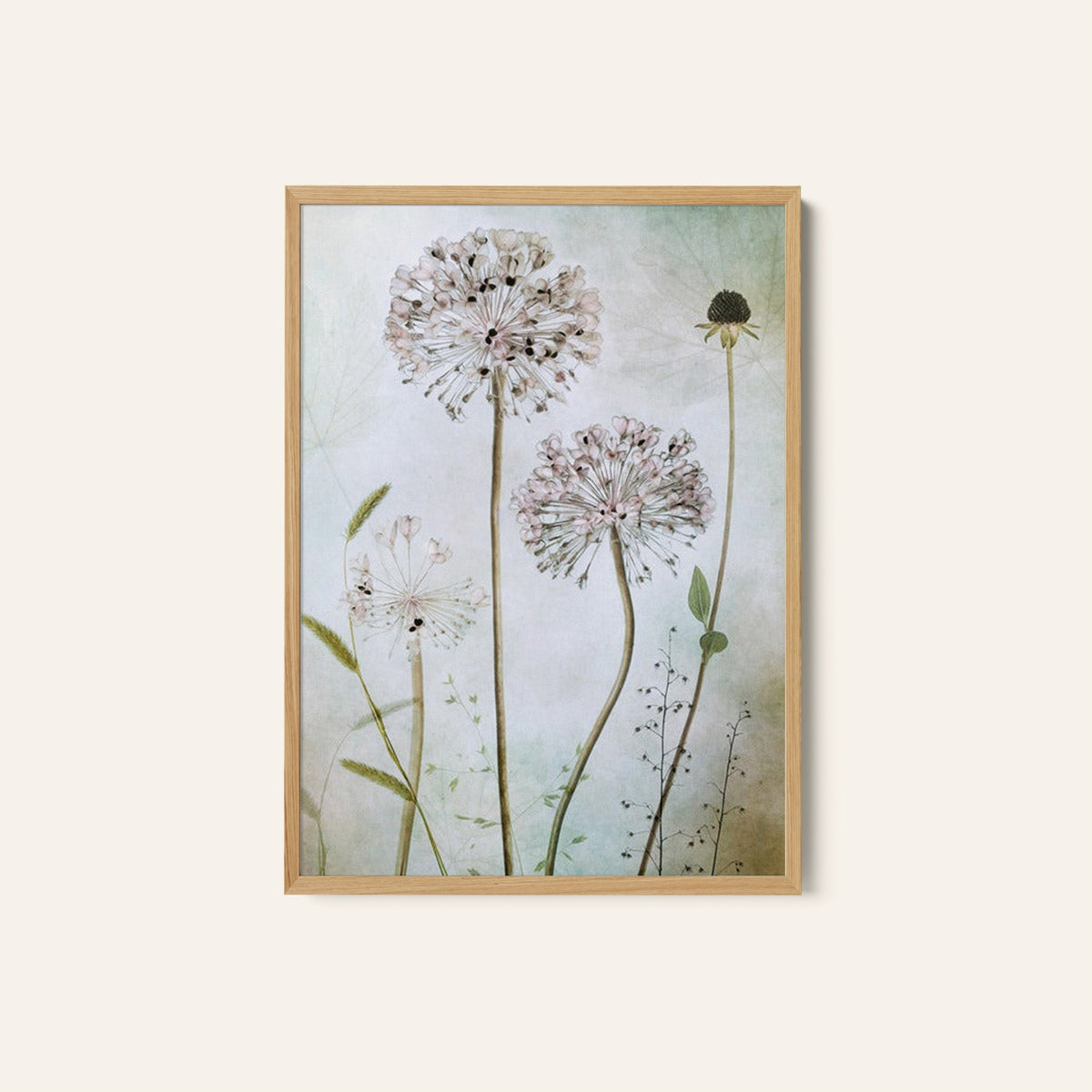 Allium Photography, Photo Print