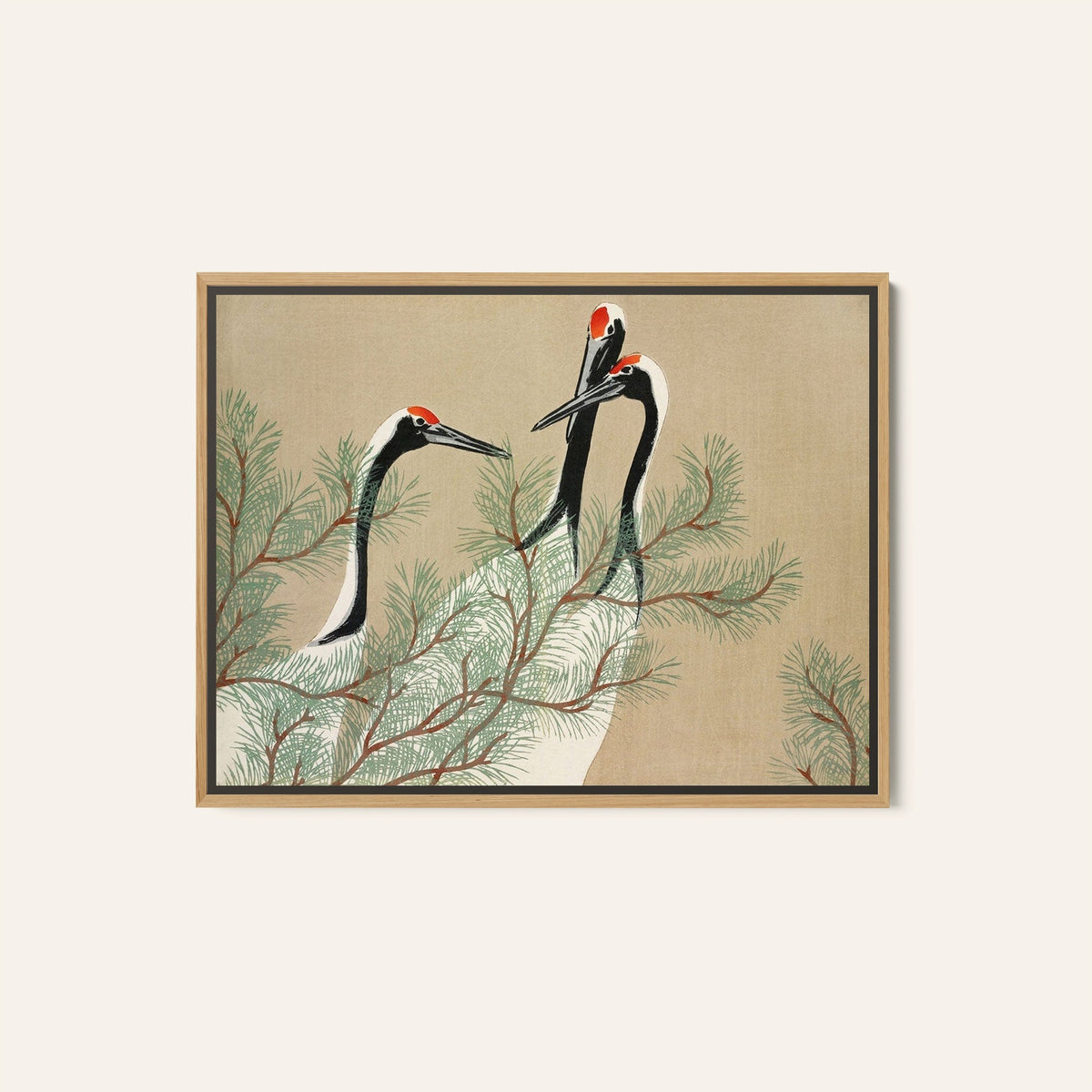 Cranes From Momoyogusa, Canvas Painting