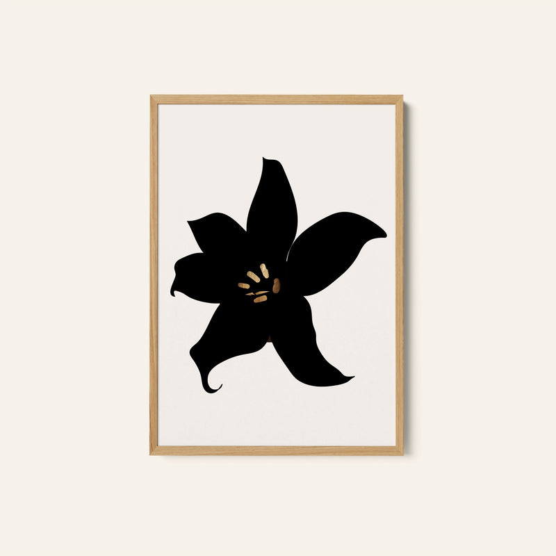 Dark Orchid