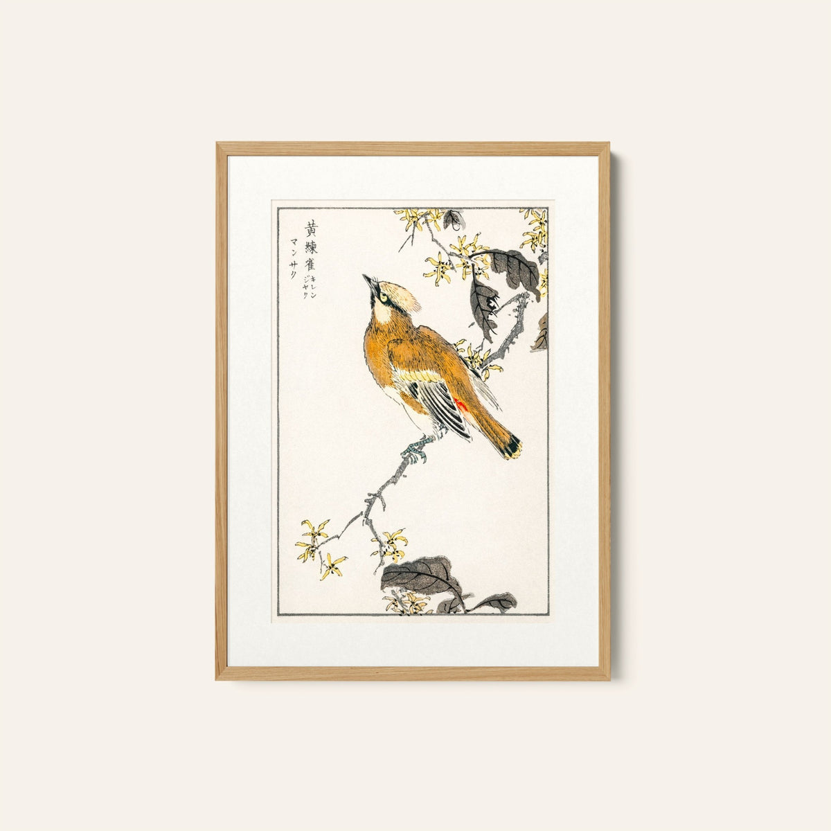 Eastern Waxwing, Japanese Art Painting