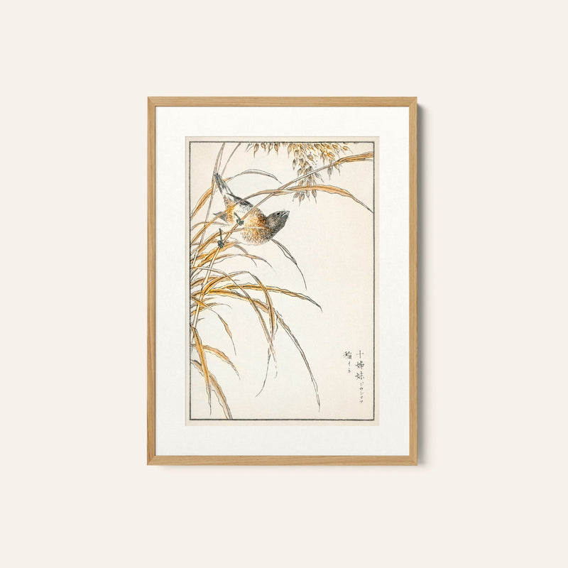 Japanese Grey Bunting and Rise Plant, Japanese Art Painting