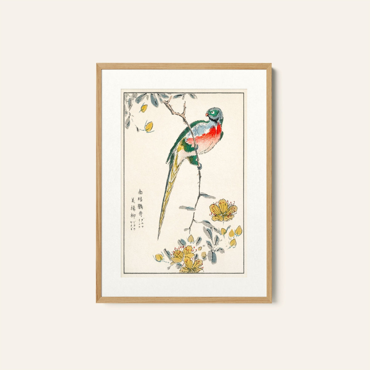 Macaw and Drooping Peach, Japanese Art Painting