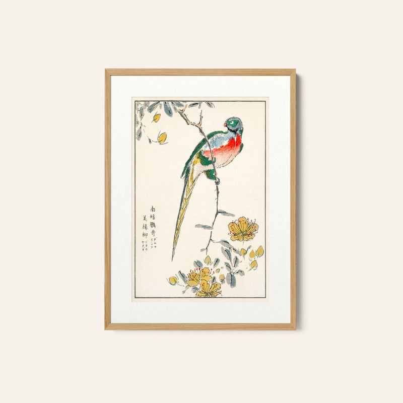 Macaw and Drooping Peach, Japanese Art Painting
