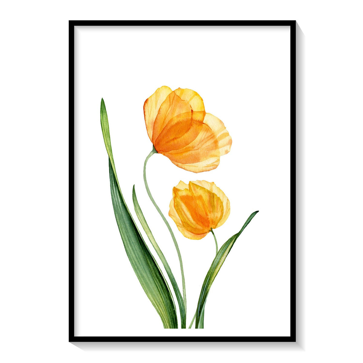 X-ray Art Yellow tulips: Buy Flower Paintings & Botanical Art Online ...