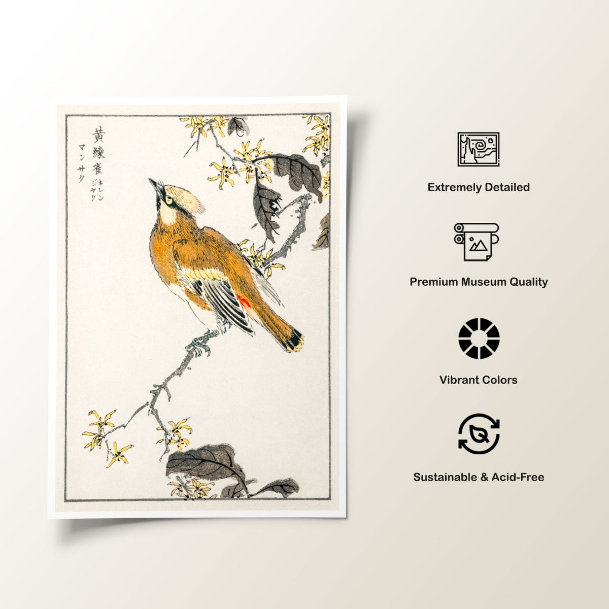 Eastern Waxwing, Japanese Art Painting