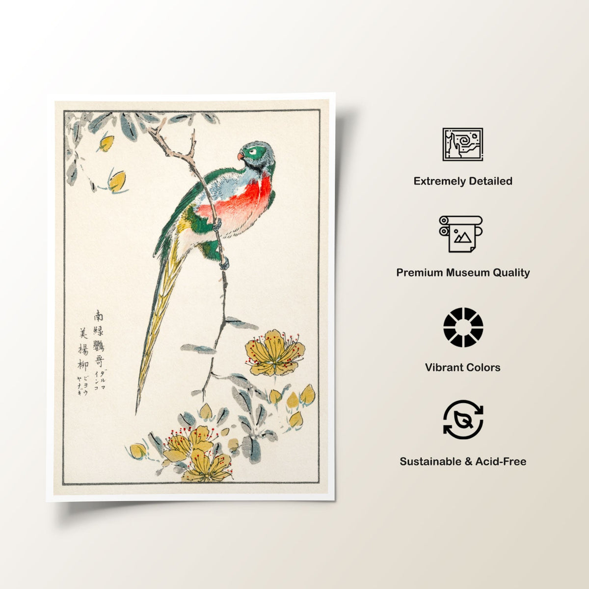 Macaw and Drooping Peach, Japanese Art Painting