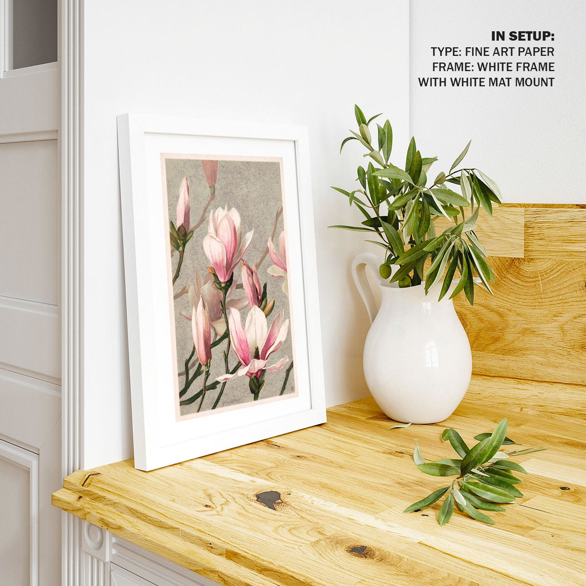 Magnolia, Botanical Flower Paintings