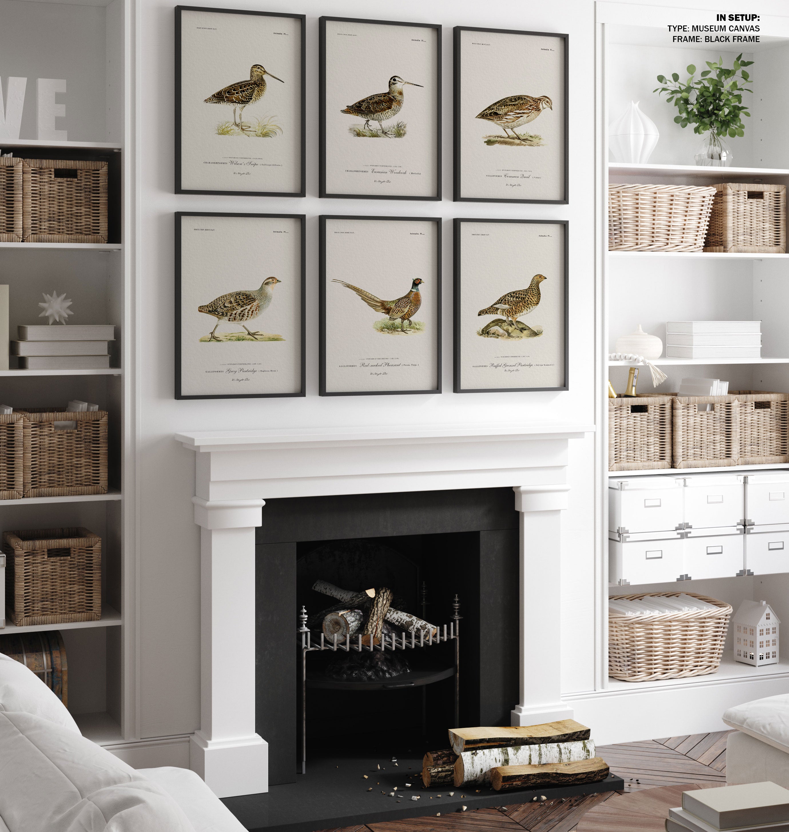 Vintage Exotic Bird Prints Set of 6 Bird Art, Lake House Art, Hunting ...