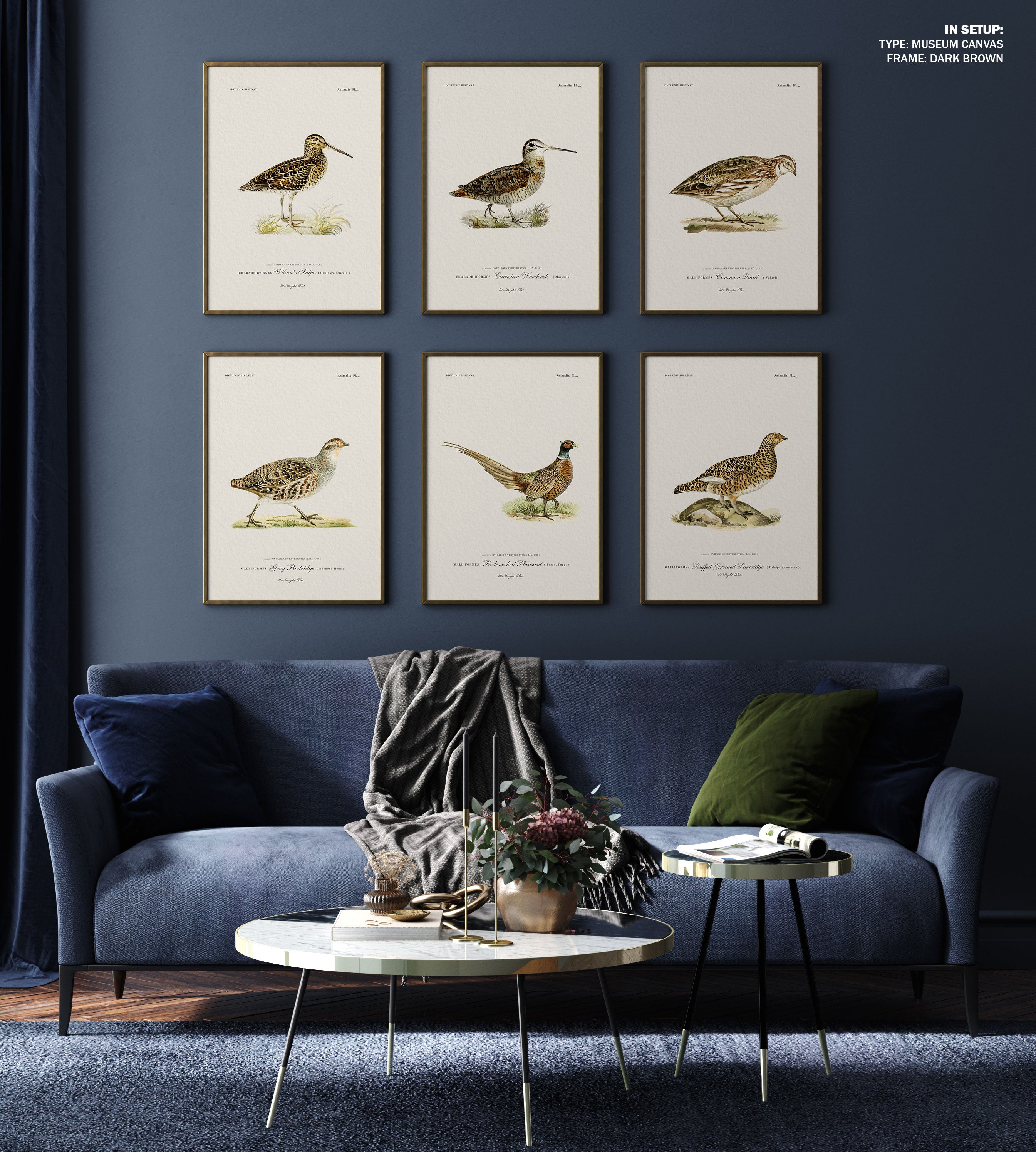 Vintage Exotic Bird Prints Set of 6 Bird Art, Lake House Art, Hunting ...